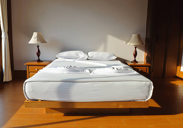 LUCID 8 Inch Queen Mattress and L150 Adjustable Base: Worth the Investment?